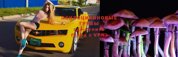 меф Горняк