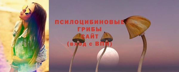 марки lsd Горно-Алтайск