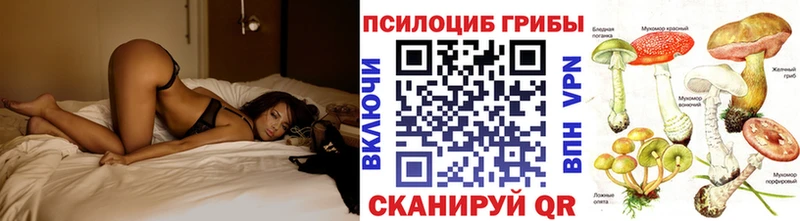 Псилоцибиновые грибы Psilocybe  гидра зеркало  Далматово 
